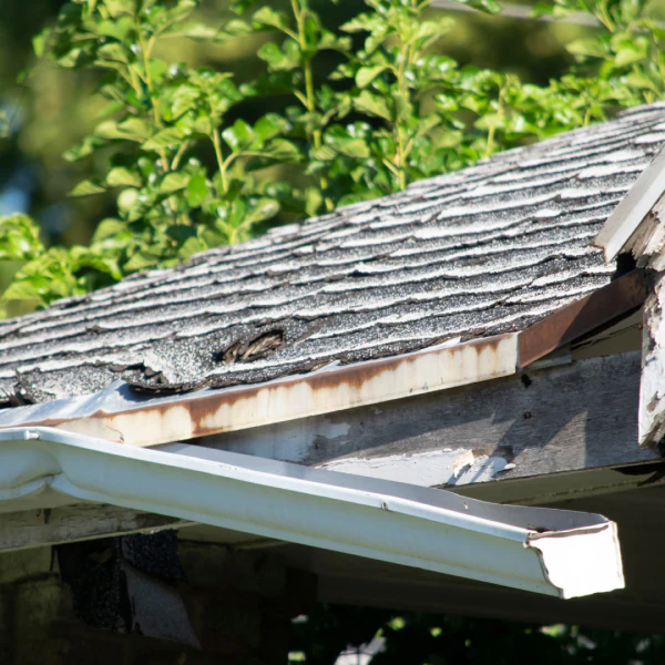Storm Damage Roof Repair (1)